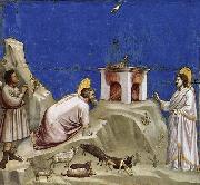 Giotto, Joachim-s Sacrificial Offering